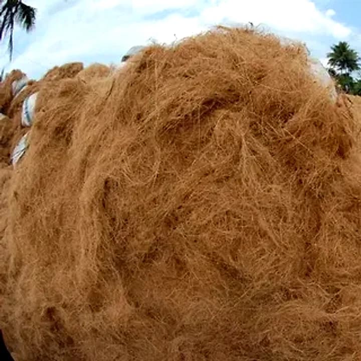 A mound of retted coconut husk fibre drying at the yard, coconut palms behind it
